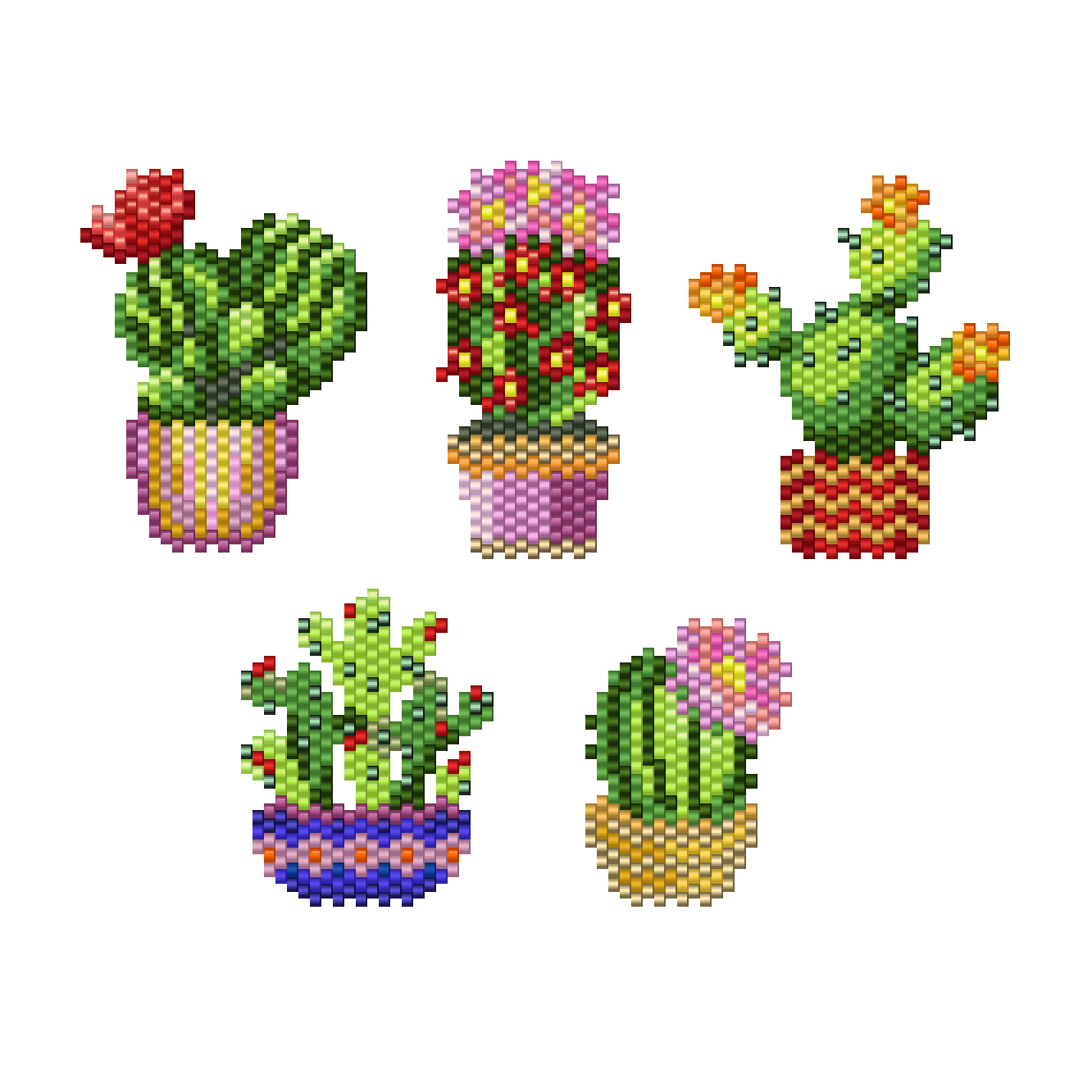 5 cacti