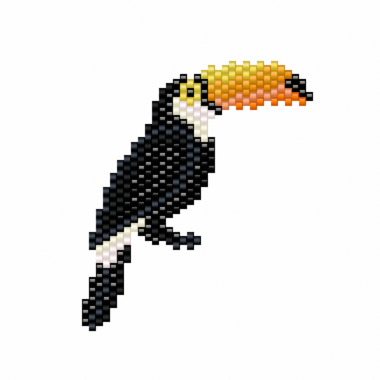 the toucan
