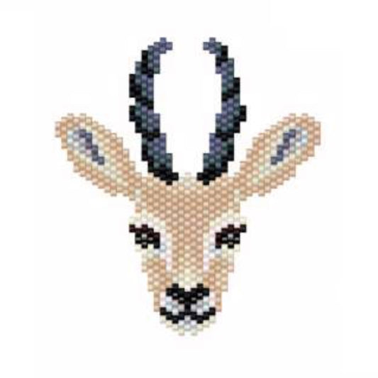 The antelope