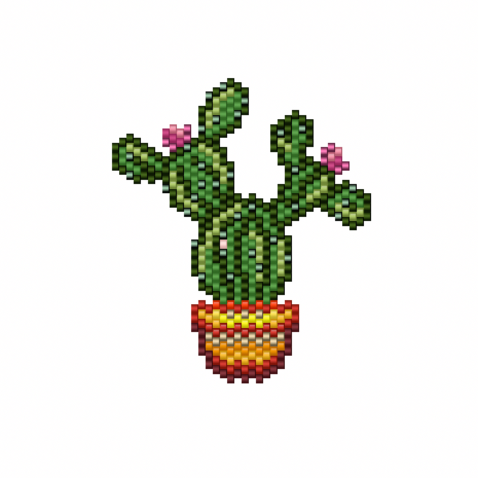 Cactus pour Franck