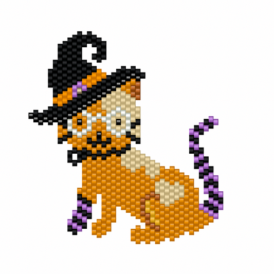 Le chat d'Halloween